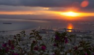 Haifa Sunrise Flowers hdr